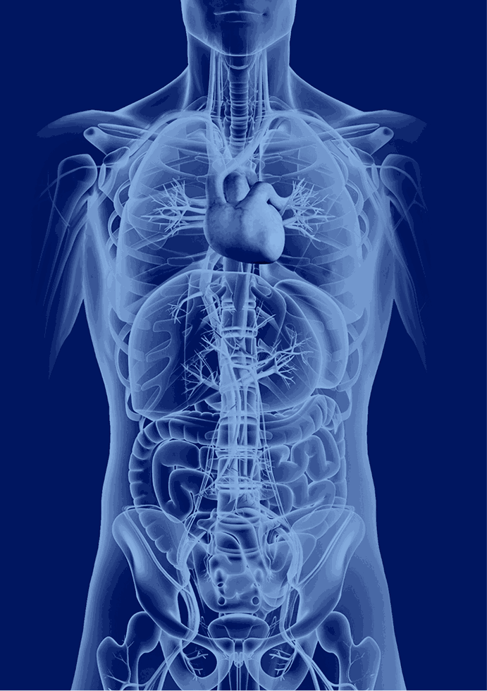 Body Scan